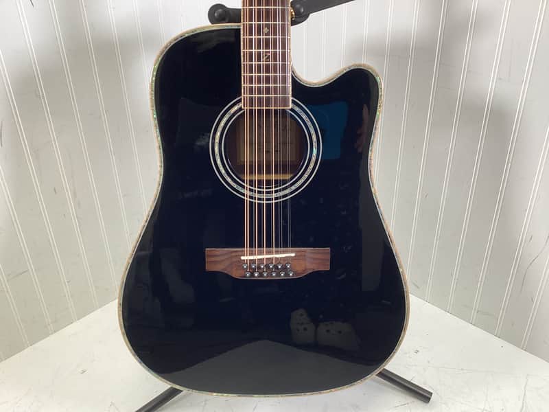 Zager ZAD-900CE-12 12-String Acoustic Guitar image 1