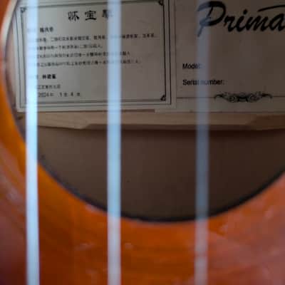 Zhao Xichang 2024 Custom "Huaibaoqin" 4-String Prototype image 2