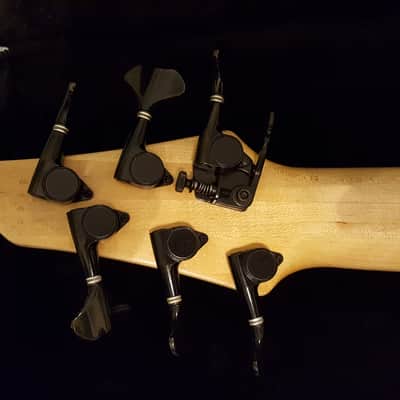 Dingwall Zebra-1 6 String Electric Bass Sheldon Dingwall 2002 - Whalepool Blue image 12