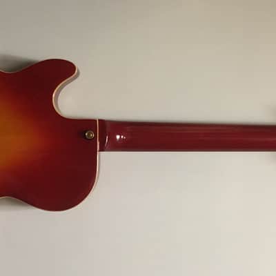 Jay Turser Semi-Hollowbody Electric Guitar image 4