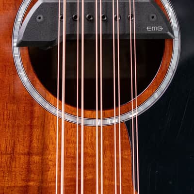 Taylor 260ce-K DLX Bajo Quinto Acoustic/Electric Guitar with Hardshell Case image 9