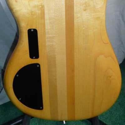 Alembic Essence 1991 Maple image 7