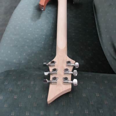 ~Cashner~ !!!Destroyer!!! Electric Guitar image 5