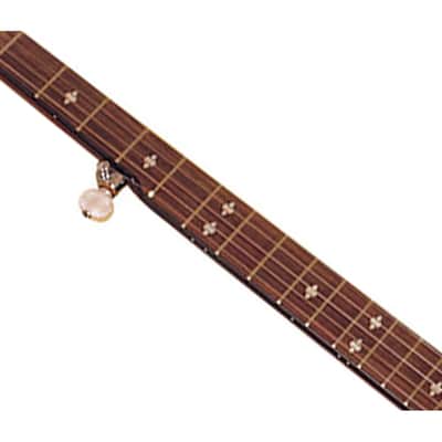 Gold Tone CC-100R+ Intermediate Resonator Banjo image 3