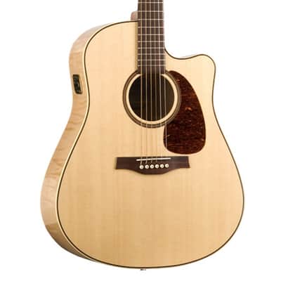Seagull 032464 / 052103 Performer CW HG Presys II Acoustic Electric Cutaway Guitar with Carrying Bag MADE In CANADA image 1