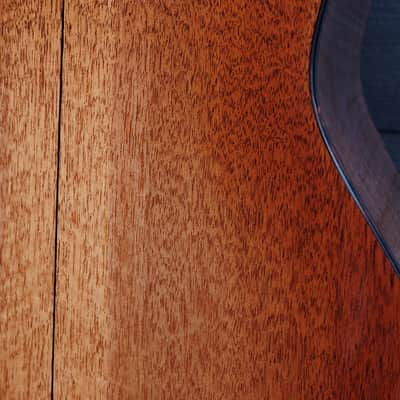Eastman E10P-TC Thermo-Cure Parlor Guitar Mahogany / Adirondack image 8