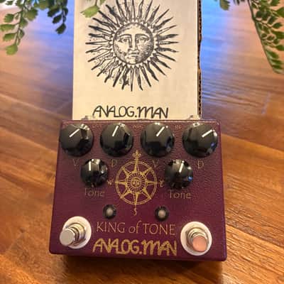 Analogman King of Tone V4 image 1