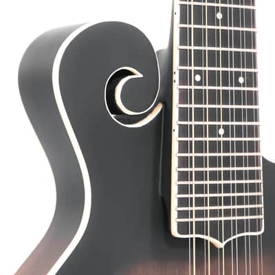 Gold Tone F-12: 12-string F-style Mando-Guitar with Pickup and Case image 4