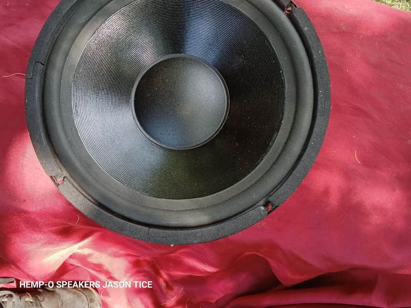 10" SUBWOOFER DUAL 4 OHM OPTIMUS 40-1028 1990s image 1