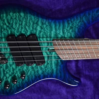 Dingwall Combustion 5 (3 Pickup), Whalepool Burst/Pau Ferro *On Order, ETA Jan. 2023 image 1