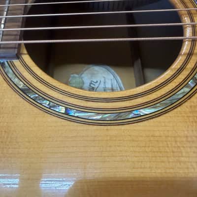 Washburn D48 SW Acoustic image 11