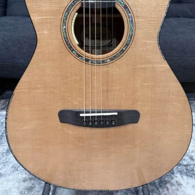 Dowina Aura - Old Stock Sitka Bearclaw Spruce/Macacuba with LR Baggs Anthem and custom Italian Hardshell Case *One-of-a-kind* image 9