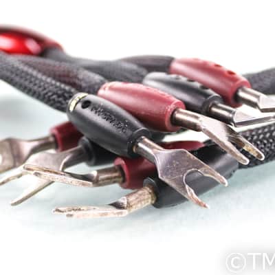 Audioquest Volcano Speaker Cables; 6ft Pair; 72v DBS image 1