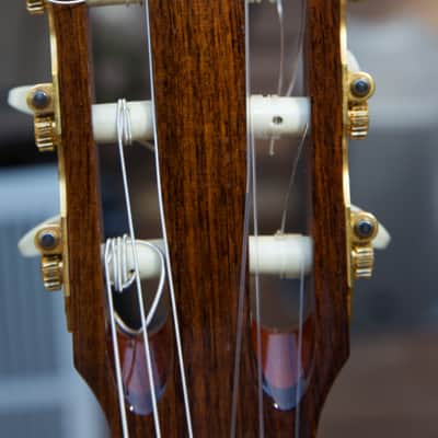 Taylor Jason Mraz Signature Model (JMSM) image 20
