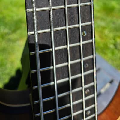 Swan RHO 5 Special NAMM 2022 image 11