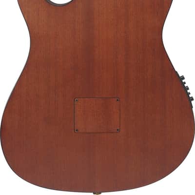 Ibanez FRH10N Thinline Nylon Acoustic Electric Guitar - Rose Gold Metallic Flat (FRH10NRGF) image 11