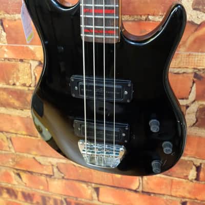 Peavey Foundation  circa 1988 image 2