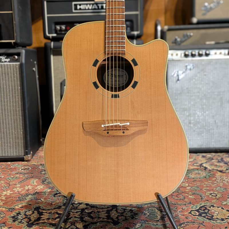 Takamine EN-10C