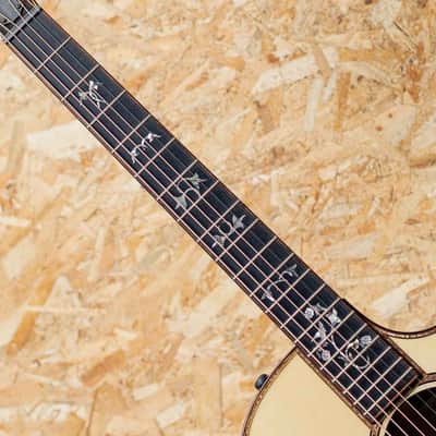 Taylor 914ce LTD 2024 image 6