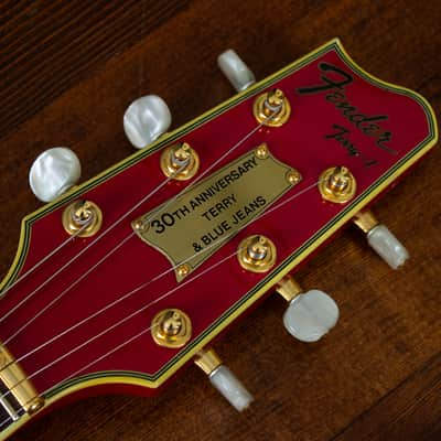 🇯🇵 1993 Fender Terry-1 Anniversary, Custom Edition, All Original, MIJ, Japan image 10