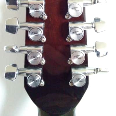 Washburn Woodstock 12-A | Reverb