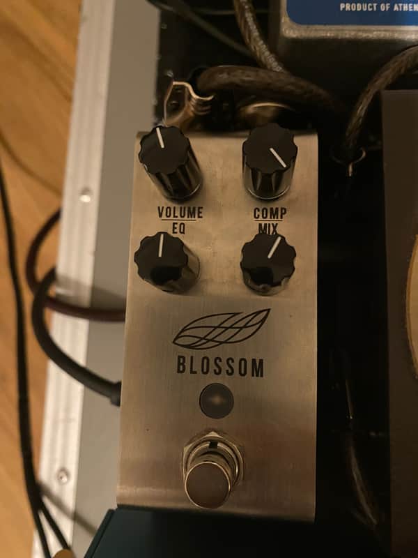 Jackson Audio Blossom
