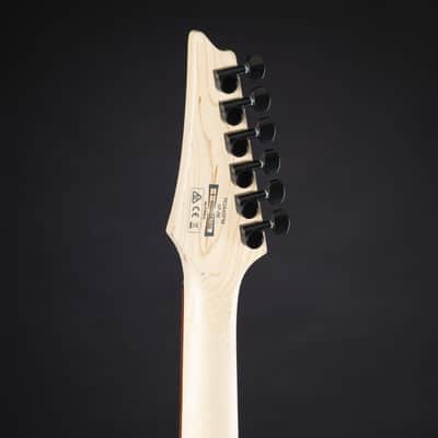 Ibanez Standard RGA42FM-TGF Transparent Gray Flat - Electric Guitar image 5