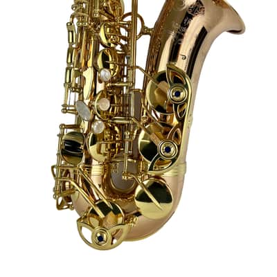 Yanagisawa AWO20UL Unlacquered Bronze Elite Alto Saxophone New In Box! image 9
