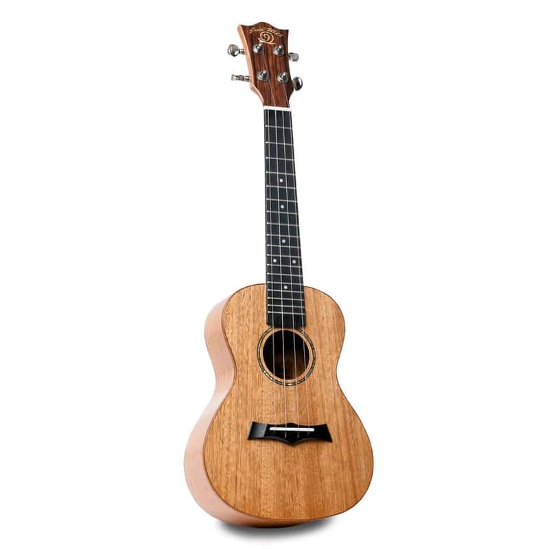 Snail SUC-M1 Mahogany Concert Ukulele - Gloss Natural image 1