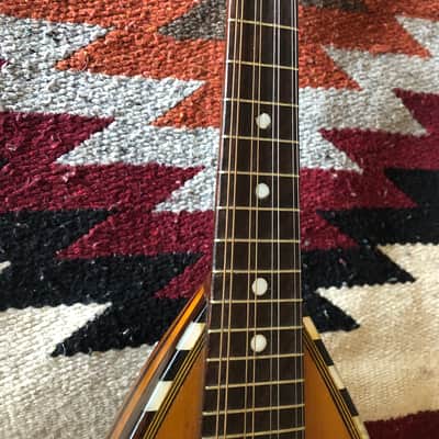 Fancy Bowlback Mandolin, Early 20th Century, Excellent Condition image 3