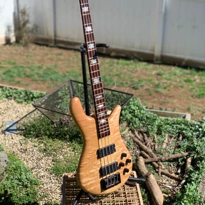 Spector Euro-LX 435 2009 35" Scale Hard Case image 3