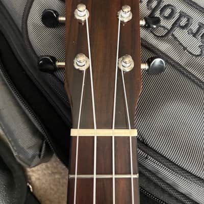 Cordoba 22S Soprano Ukulele 2010s - Indian Rosewood image 5