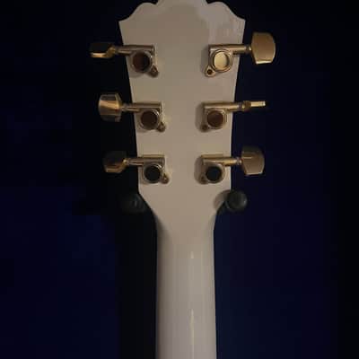 Washburn D2001PWH Patriot 2002 - Pearl White image 5