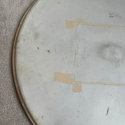 Slingerland Vintage Radio King 24” Genuine Calf Skin Bass Drum Head Lot #2 40s - Calfskin image 5