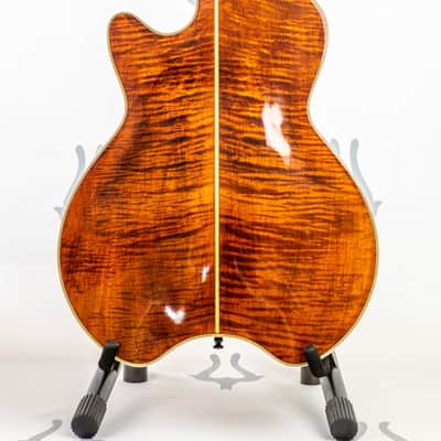 Daion The Year Series '81 Caribou - Brown (BR) - Electric Acoustic Six String image 7