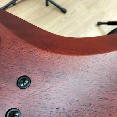 Ibanez RGEW521ZC Electric Guitar with Unique Design image 9