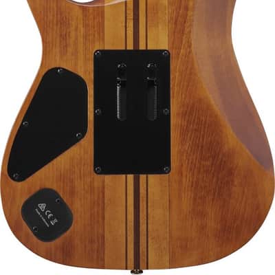 Ibanez RGT1220PB-ABS Premium RGT Electric Guitar 6-String - Antique Brown Stained + Gig Bag image 15