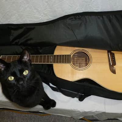 Alvarez AP70 Parlor Guitar w/ Gig Bag-PRICE REDUCED! image 9