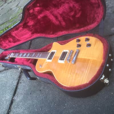 Guild Bluesbird image 2