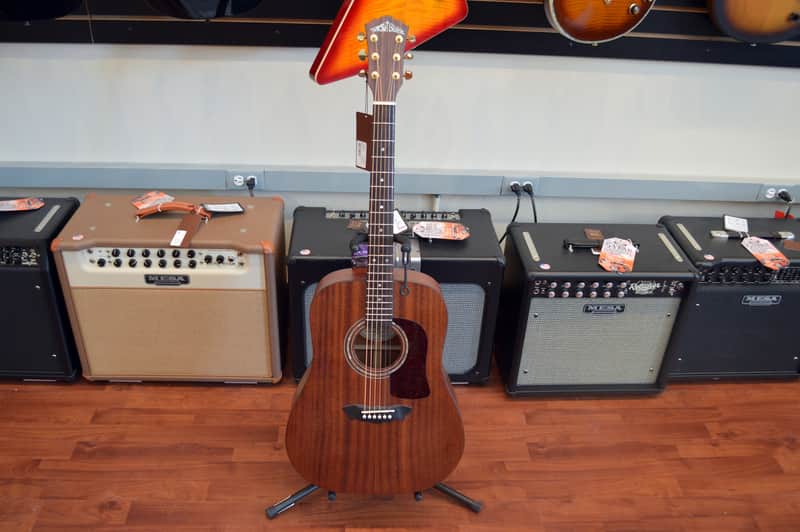 Washburn WD18SW Dreadnought Acoustic Guitar w/ Gig Bag image 1