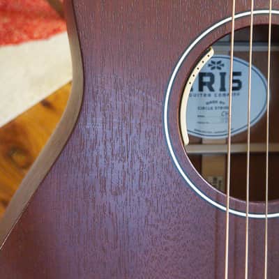 Iris CH 2024 with LR Baggs Anthem pickup - Natural Mahogany image 6