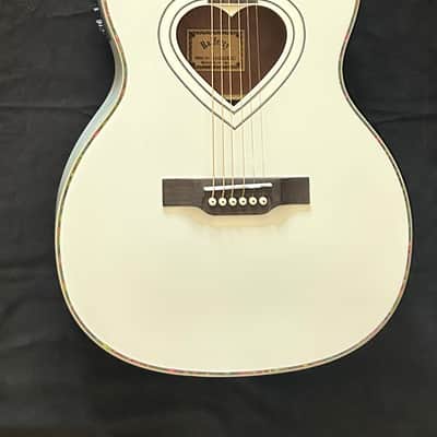 Rafferty Heartbeat ❤️ Acoustic Electric image 8