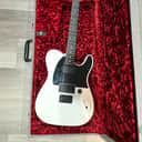 Fender Jim Root Artist Series Signature Telecaster 2008 - Present - Flat White