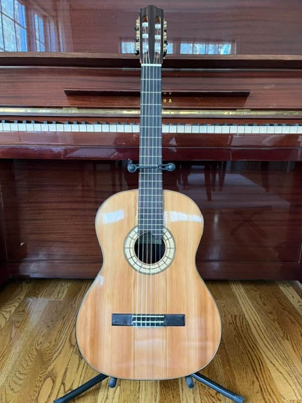 Handmade Hauser design 2025 - French Polish image 1