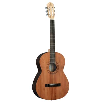 Ortega R16PC Traditional Series Solid Cedar Top Beechwood Neck Nylon 4/4 Size 6-String Classical Acoustic Guitar image 1