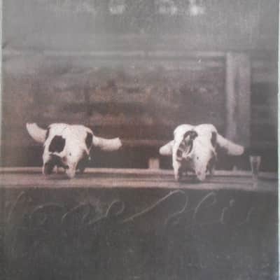 Bruce Springsteen "Devils & Dust" Sheet Music 2005 image 1