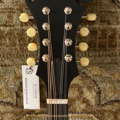Eastman MD315-A-WN-AB, Adirondack, F-Style, Wide Neck Mandolin In Amberburst W/ Gig Bag & Free Pro Setup image 4