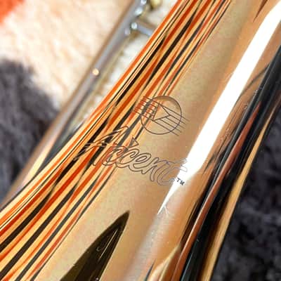 Accent TB783 Intermediate F-Attachment Trombone Large Bore W/ Case Ready To Play image 12