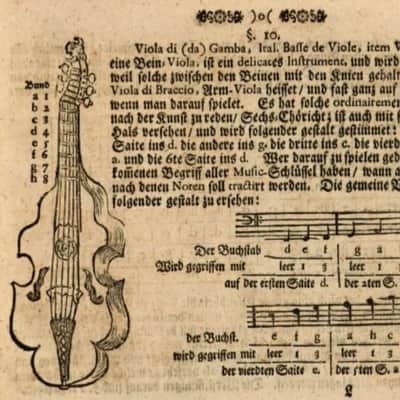 Radbon Violoncello da spalla 2025 image 6
