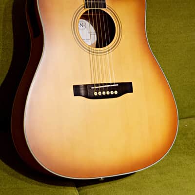 Nashville Guitar Works D10CE EB 2023 - Edgeburst image 11